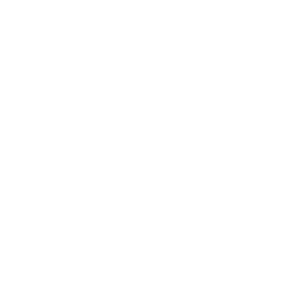 Strasbourg GRS